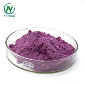 Top Quality Organic Blueberry foda 99% Sabon Green Manufacturer Supply Daskare-bushewar ɗanɗanon ɗanɗanon blueberry