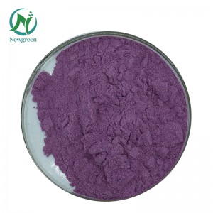Top Quality Organic Blueberry powder 99% Newgreen Manufacturer Supply Freeze-dry Blueberry flavor powder