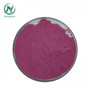 Top Quality ຜົງໝາກມັງກອນອິນຊີ 99% Newgreen Manufacturer Supply Freeze-dried Dragon Fruit Fruit powder
