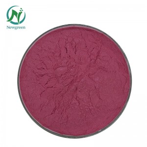 Umgangatho ophezulu we-Organic Dragon Fruit powder 99% Newgreen Manufacturer Supply Frize-drid Fruit powder