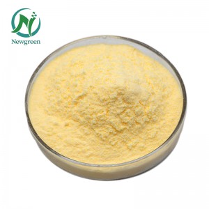 Augstākās kvalitātes organiskais saldo apelsīnu pulveris 99% Newgreen ražotāja piegādes liofilizēti kaltēts saldo apelsīnu garšas pulveris