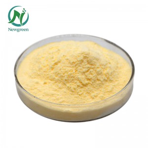 Organski prah slatke naranče vrhunske kvalitete 99% Newgreen Manufacturer Supply Liofilizirani prah okusa slatke naranče