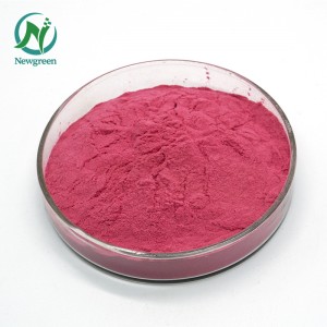 Nangungunang Kalidad Organic cactus fruit powder 99% Newgreen Manufacturer Supply Freeze-dried Prickly pear powder