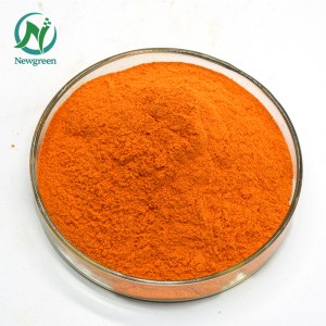 Wholesale Pri Manje Klas Riboflavine CAS 83-88-5 Vitamin B2 Powder