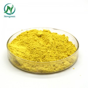 Extrait naturel de Sophora Japonica 98% poudre de quercétine Newgreen fabrication quercétine