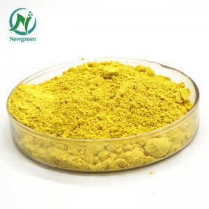 ສານສະກັດຈາກທໍາມະຊາດ Sophora Japonica 98% Quercetin powder Newgreen Manuafacture Quercetin