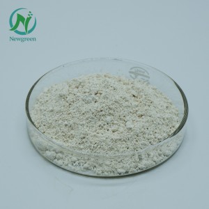 Kualitas luhur Alpha-Galactosidase food grade CAS 9025-35-8 Alpha-Galactosidase powder