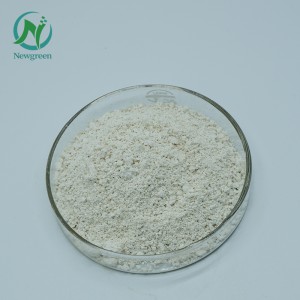 Alpha-Galactosidase food grade ຄຸນນະພາບດີ CAS 9025-35-8 Alpha-Galactosidase powder