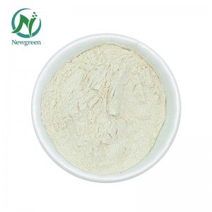 Næringsmiddelkvalitet fortykningsmiddel 900 agar CAS 9002-18-0 agar agar pulver