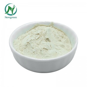 Food Grade Guar Gum Cas No. 9000-30-0 Food Additive Guar Gum Powder