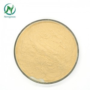 Venta al por mayor de polvo natural de extracto de raíz de Scutellaria Baicalensis puro 85% 90% Baicalin Cas 21967-41-9