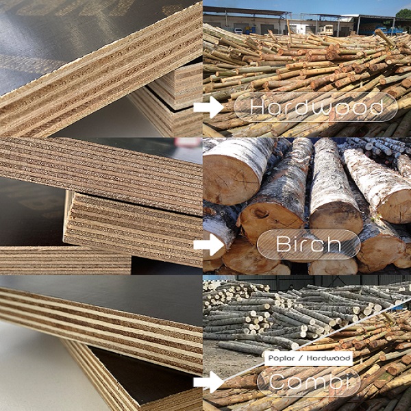 Film Faced Plywood Market research Report with Analysis 2023 To 2030 | Report Pages 138  - Benzinga
