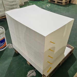 Tassa de paper a l'engròs de fàbrica Matèries primeres Full de paper recobert de PE