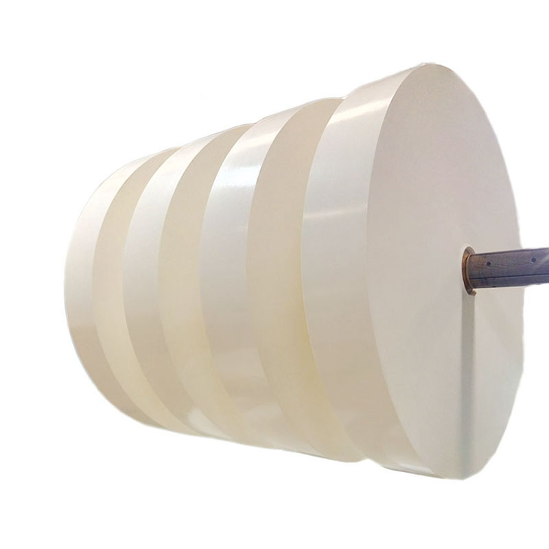 manufacturer of Cup Forming Bottom Paper in Roll Featured Image