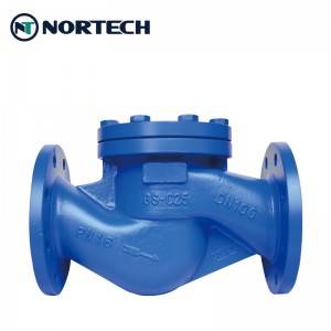 High Quality Industrial DIN EN check valve Cast vy lift check valve China orinasa mpamatsy Manufacturer