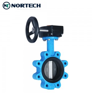 Lug Type Gear Operation Ductile Iron PTFE Butterfly Valve Manufacturer sa China