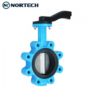 Lug Type Gear Operation Ductile Iron PTFE Butterfly Valve Manufacturer in China