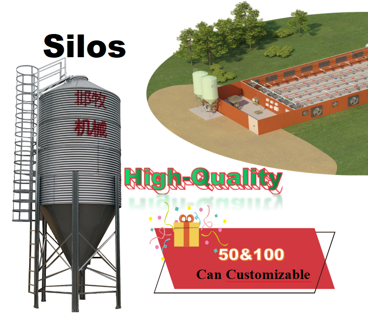 Poultry Farm Feed Silos Auto Feed Tank Pig Silos Featured Image