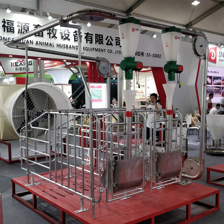 pig automatic feeding system Featured Image