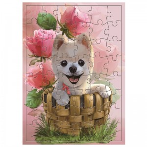 China Based Jigsaw Puzzle Manufacturer Perfect Family Puzzle kwa Zaka 4+ Zopangidwa ndi Mapepala Obwezerezedwanso ndi Ma Inks Opanda Poizoni 48 Pieces Jigsaw - JS48-1