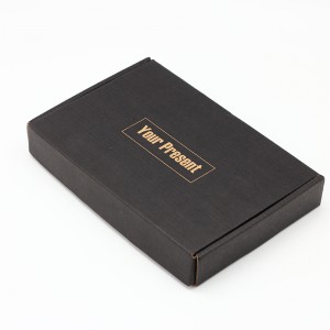 Пользовательский логотип Black Print E-Flute Corrugated Mailer Box для розничных магазинов