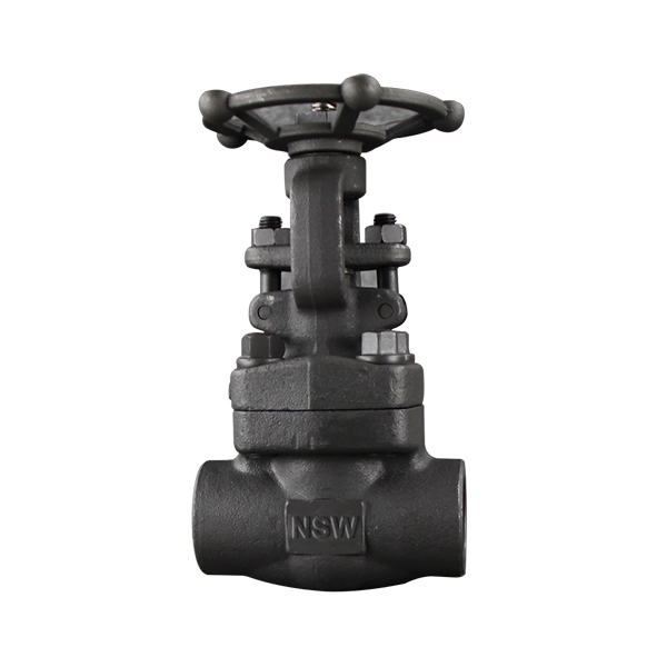 Bolted bonnet Forged Gate Valve Featured Image