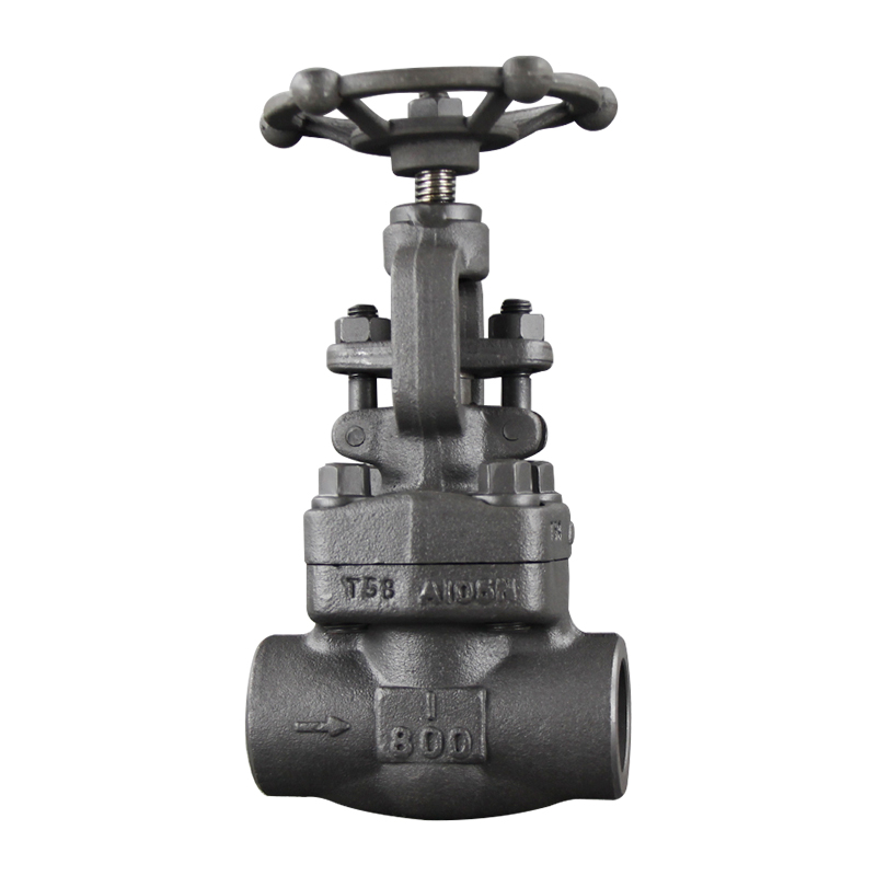 API 602 globe valve