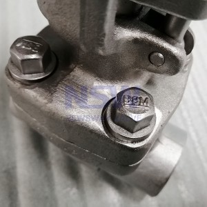 API 602 globe valve