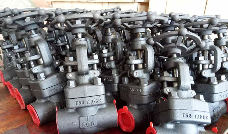 Why do we choose NSW forged steel gate valve