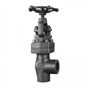 Forged Steel Angle Globe Valve 800LB A105N