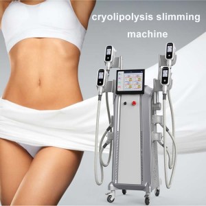 New Delivery for China New Arrival Portable Vacuum Cryo Slimming Cryolipolysis Machine 360 Fat Freezing Machine