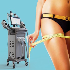 Cryolipolysis slimming machine double handles removal machine fat freezing