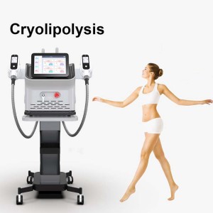 Portable Cryolipolysis Fat Freezing Machine Weight Loss Cool System Body Arm Sculpting
