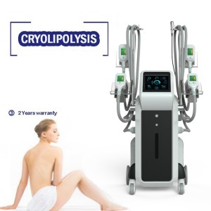 Cool Sculption 4 Cryo Handles Cyolipolysis Slimming Fat Freeze Weight Loss Machine