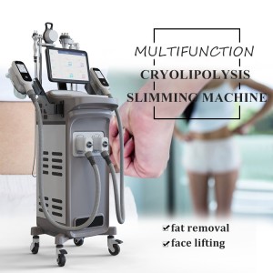 Ultrasonic Cavitation Cryolipolysis fat freezing slimming machine