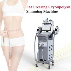 Cryolipolysis slimming machine double handles removal machine fat freezing