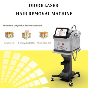 Factory wholesale China L Hot Sale Portable 808nm Diode Laser Wavelength Hair Removal Machine