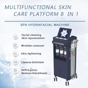 High Quality for China 6 in 1 H2 O2 Hydra Facial Peel Water Oxygen Dermabrasion Skin Clean Machine