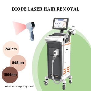 Vidin'ny orinasa ho an'ny China 600W 808nm Permanent Diode Laser Hair Removal Machine