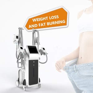 CE approved safety professional 10.4 inch screen cool tech fat freezing slimming cryolipolysie machine