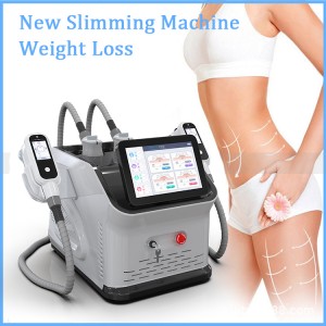 Professional Weight Lost Cyro Fat Freeze Instant Result Fat Burning 360 Degree Criolipolisis Home Use Fat Freezing Handle Cryolipolysis Slimming Machine Spa