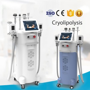 Lipo Cryotherapy Cryolipolysis Fat Freeze Slimming Machine Best