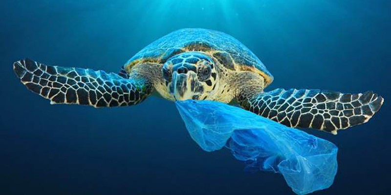 Quae sunt plene biodegradable materiae