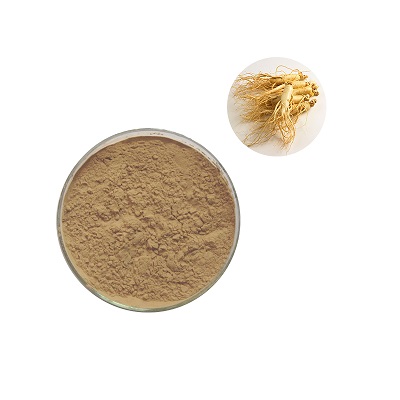 Ginseng Extract, Ginseng Powder Extract Featured Image