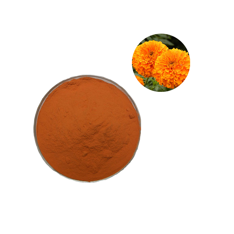 Lutein powder crystal, Marigold extract powder, Marigold oleoresin (2)
