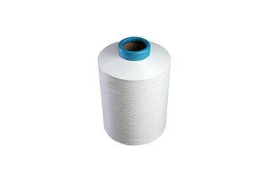 Nylon 6-Conventional Filament Nylon 6 ATY Featured Image