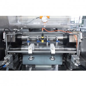OZM340-10M OTF i màquina de fabricació de pegats transdèrmics