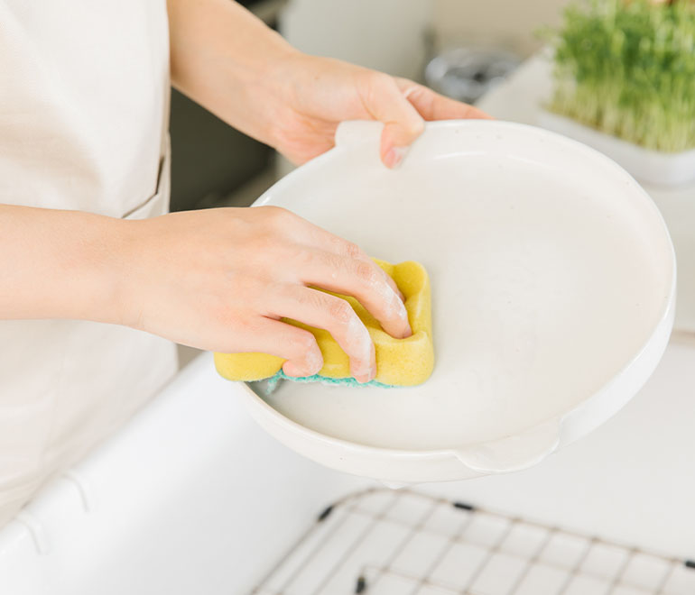 Spugna di cucina pulita
