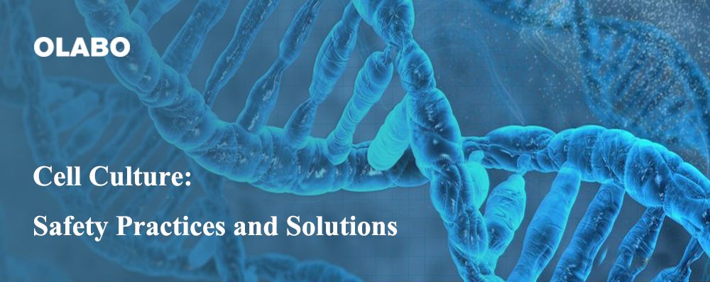 ဆဲလ်ယဉ်ကျေးမှု- ဘေးကင်းရေး အလေ့အကျင့်များနှင့် ဖြေရှင်းချက်များ