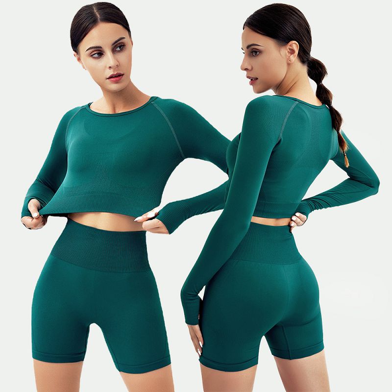 China Women seamless yoga wear set long sleeve crop top butt lift gym  shorts 2pcs-Seamless, Activewear factory and suppliers